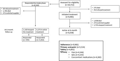 Adherence, Safety, and Effectiveness of Medical Cannabis and Epidemiological Characteristics of the Patient Population: A Prospective Study